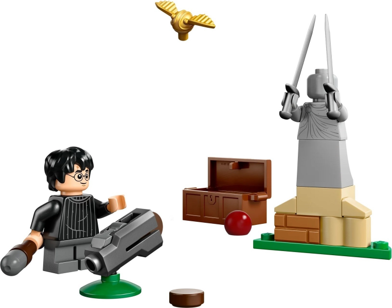 30706 Quidditch Lesson paper bag