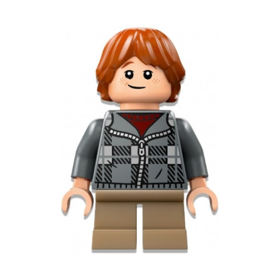 hp496 Ron Weasley