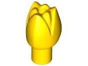 Yellow Plant Flower Tulip with Bar and Small Pin Hole