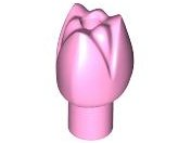 Bright Pink Plant Flower Tulip with Bar and Small Pin Hole