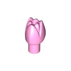 Bright Pink Plant Flower Tulip with Bar and Small Pin Hole