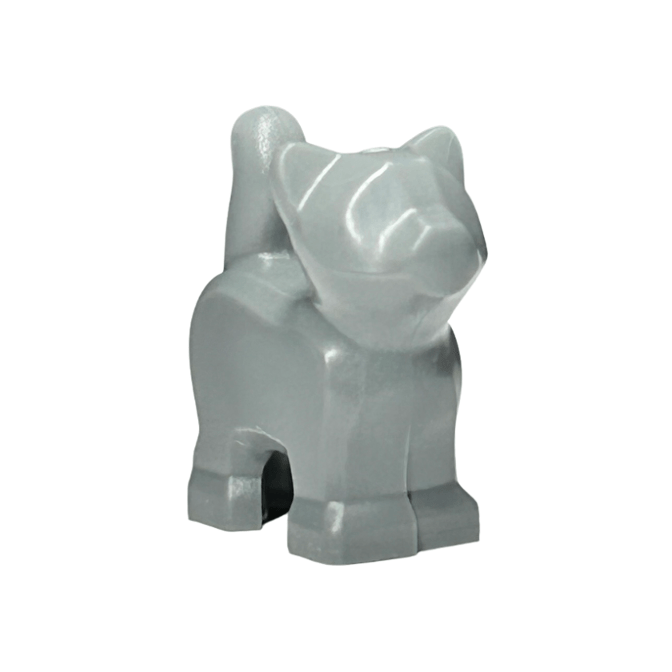 Dark Bluish Gray Cat, Baby Kitten, Standing