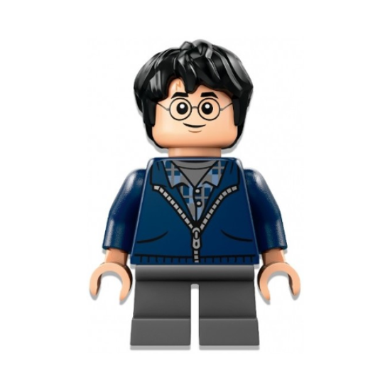 hp495 Harry Potter