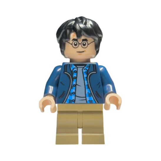 hp544 Harry Potter