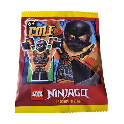 892408 Cole paper bag #2