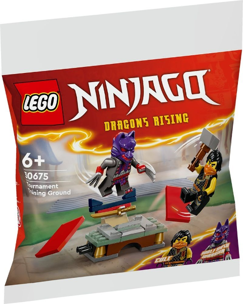 30675 Tournament Training Ground polybag