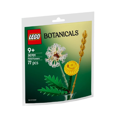 30701 Field Flowers paper bag