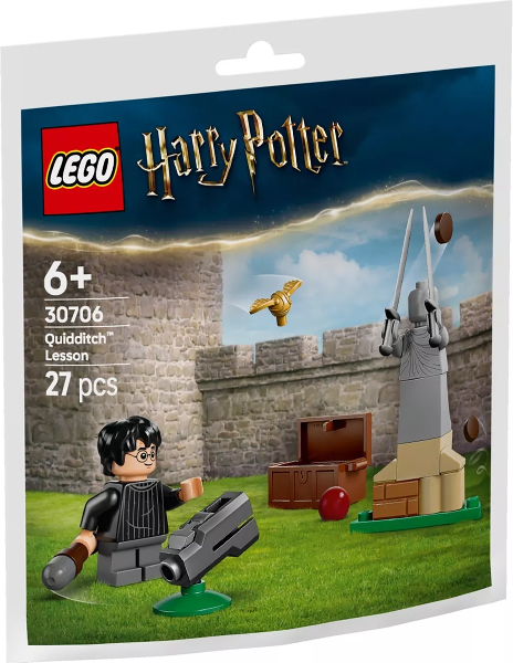 30706 Quidditch Lesson paper bag