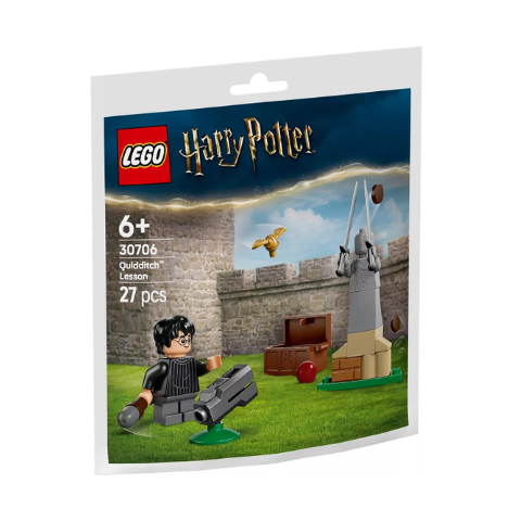 30706 Quidditch Lesson paper bag