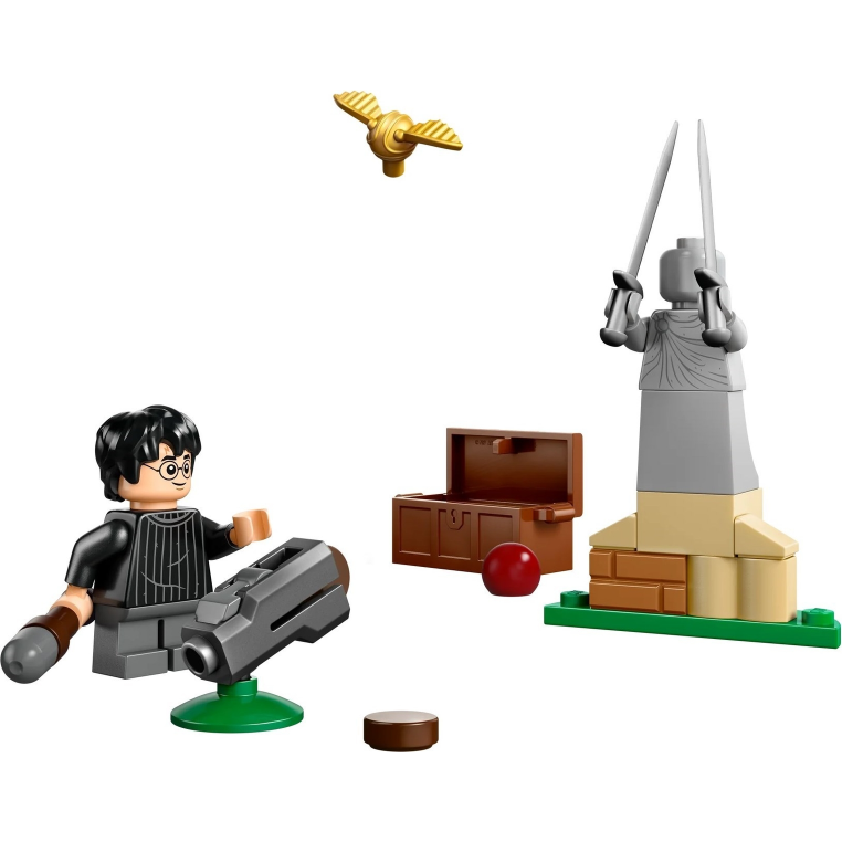 30706 Quidditch Lesson paper bag