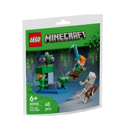 30705 The Lush Cave Fight paper bag