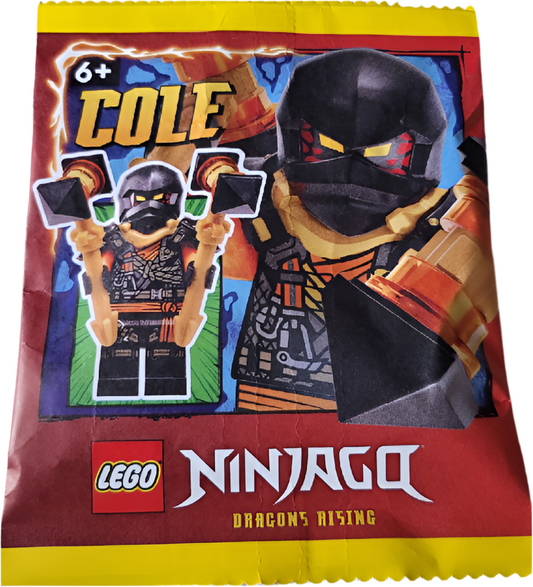 892408 Cole paper bag #2