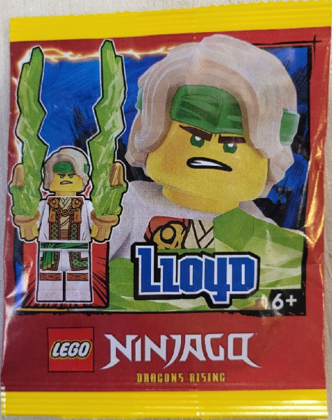 892501 Lloyd paper bag #3