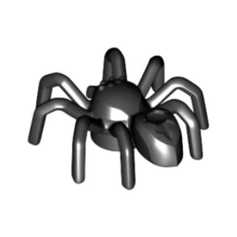 Black Spider with Elongated Abdomen