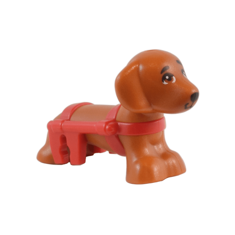 Dark Orange Dog, Friends Style, Dachshund with Molded Red Wheelchair Harness and Printed Eyes and Black Nose Pattern Pickle