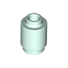 Light Aqua Brick, Round 1 x 1