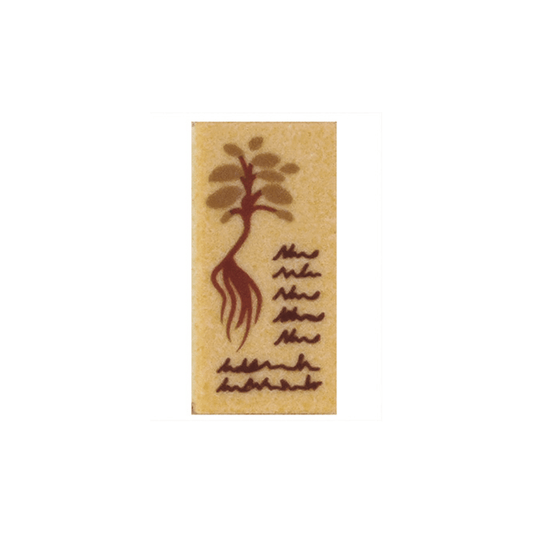 Tan Tile 1 x 2 with Reddish Brown Text and Plant Pattern