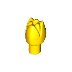 Yellow Plant Flower Tulip with Bar and Small Pin Hole
