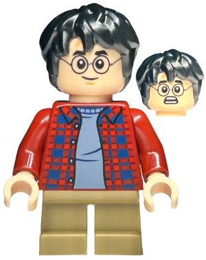 hp481 Harry Potter