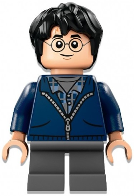 hp495 Harry Potter