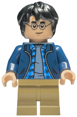 hp544 Harry Potter